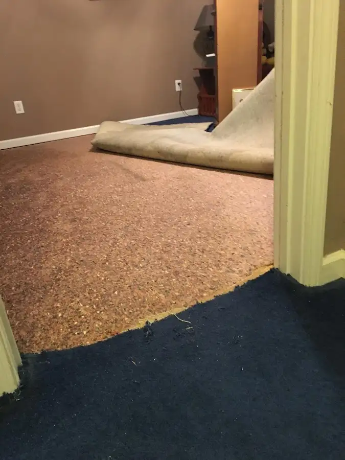Carpet pad removal revealing water damage during Drying & Dehumidification in Lower Pottsgrove